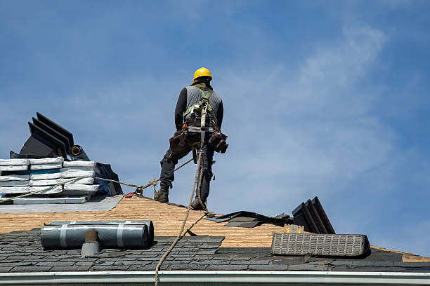 Professional Roof Replacement technician working in Waterville, OH